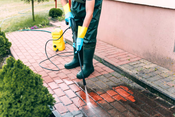 Animal Enclosure Cleaning in Tanaina, AK